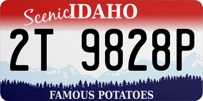 ID license plate 2T9828P