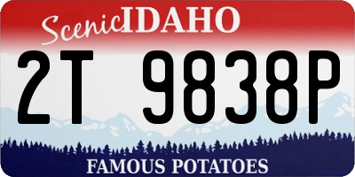 ID license plate 2T9838P