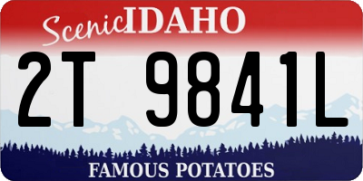 ID license plate 2T9841L