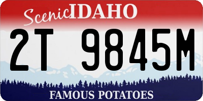 ID license plate 2T9845M