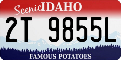 ID license plate 2T9855L