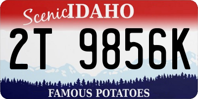ID license plate 2T9856K