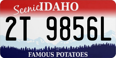 ID license plate 2T9856L