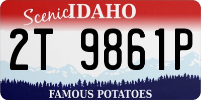 ID license plate 2T9861P