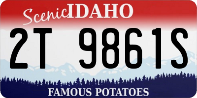 ID license plate 2T9861S