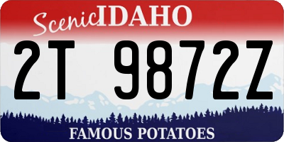 ID license plate 2T9872Z