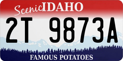 ID license plate 2T9873A