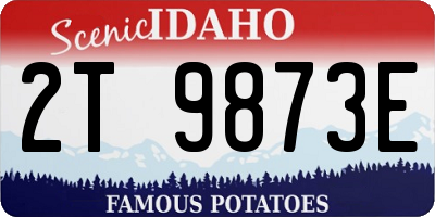 ID license plate 2T9873E