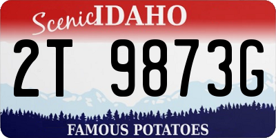 ID license plate 2T9873G