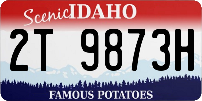 ID license plate 2T9873H