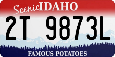 ID license plate 2T9873L