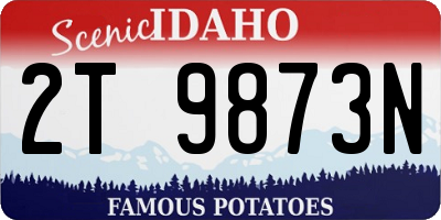 ID license plate 2T9873N