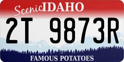 ID license plate 2T9873R