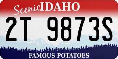 ID license plate 2T9873S