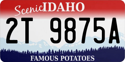 ID license plate 2T9875A