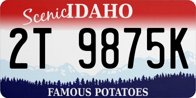 ID license plate 2T9875K