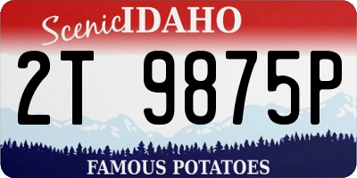 ID license plate 2T9875P