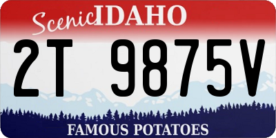 ID license plate 2T9875V