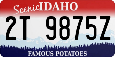 ID license plate 2T9875Z