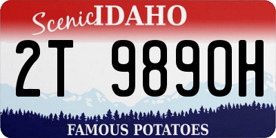 ID license plate 2T9890H