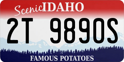 ID license plate 2T9890S