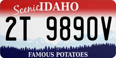 ID license plate 2T9890V