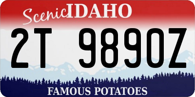 ID license plate 2T9890Z