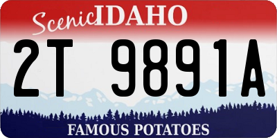 ID license plate 2T9891A