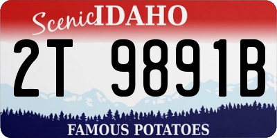 ID license plate 2T9891B