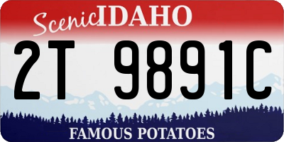 ID license plate 2T9891C