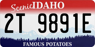 ID license plate 2T9891E