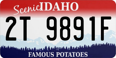 ID license plate 2T9891F