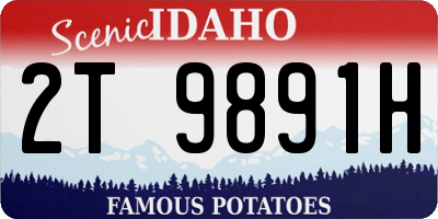 ID license plate 2T9891H