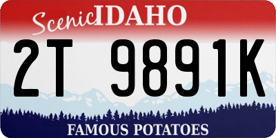 ID license plate 2T9891K