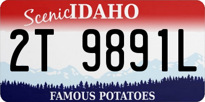 ID license plate 2T9891L