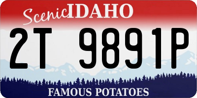 ID license plate 2T9891P