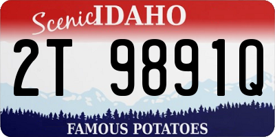 ID license plate 2T9891Q