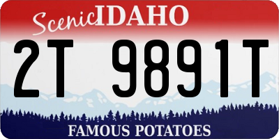 ID license plate 2T9891T