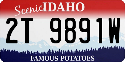 ID license plate 2T9891W