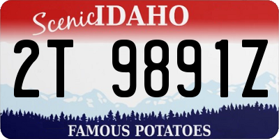 ID license plate 2T9891Z