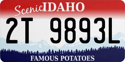 ID license plate 2T9893L