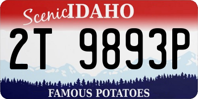 ID license plate 2T9893P