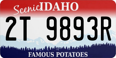 ID license plate 2T9893R