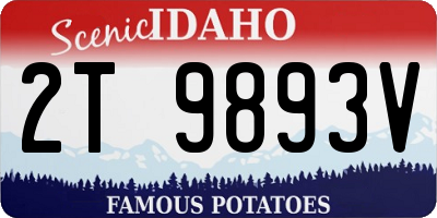 ID license plate 2T9893V