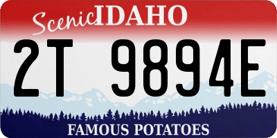 ID license plate 2T9894E