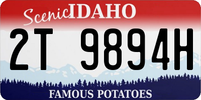 ID license plate 2T9894H