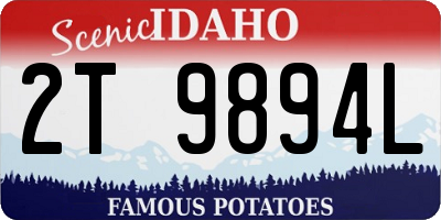 ID license plate 2T9894L