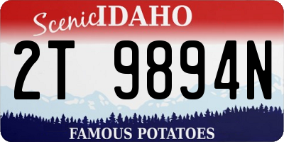 ID license plate 2T9894N