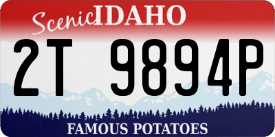 ID license plate 2T9894P