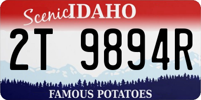 ID license plate 2T9894R